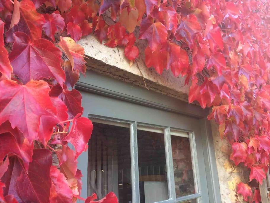 Blacksmith'S Barn - Cosy, Chilled & Dog Friendly. 威克姆 外观 照片